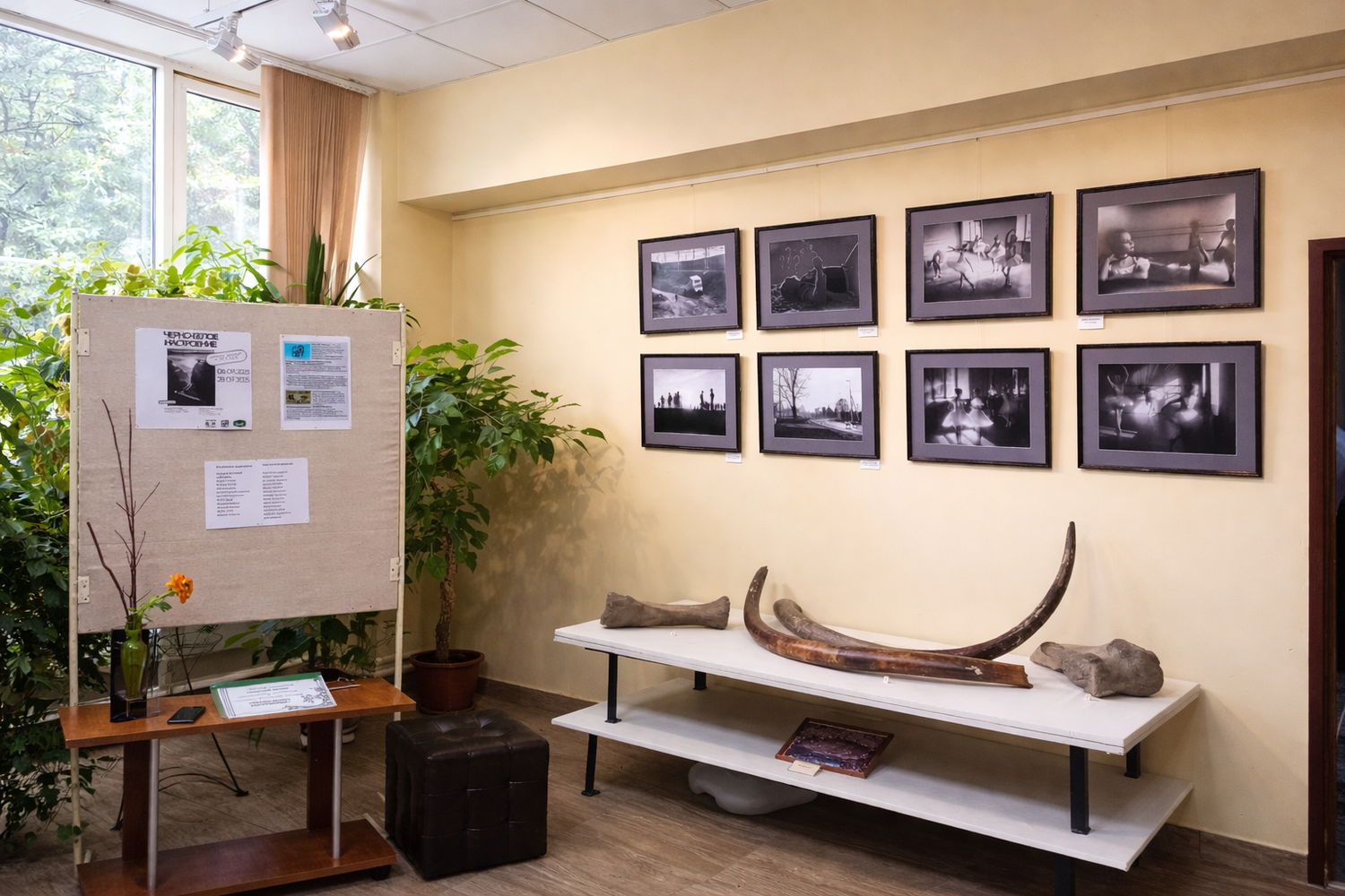 Музей экологии и краеведения 